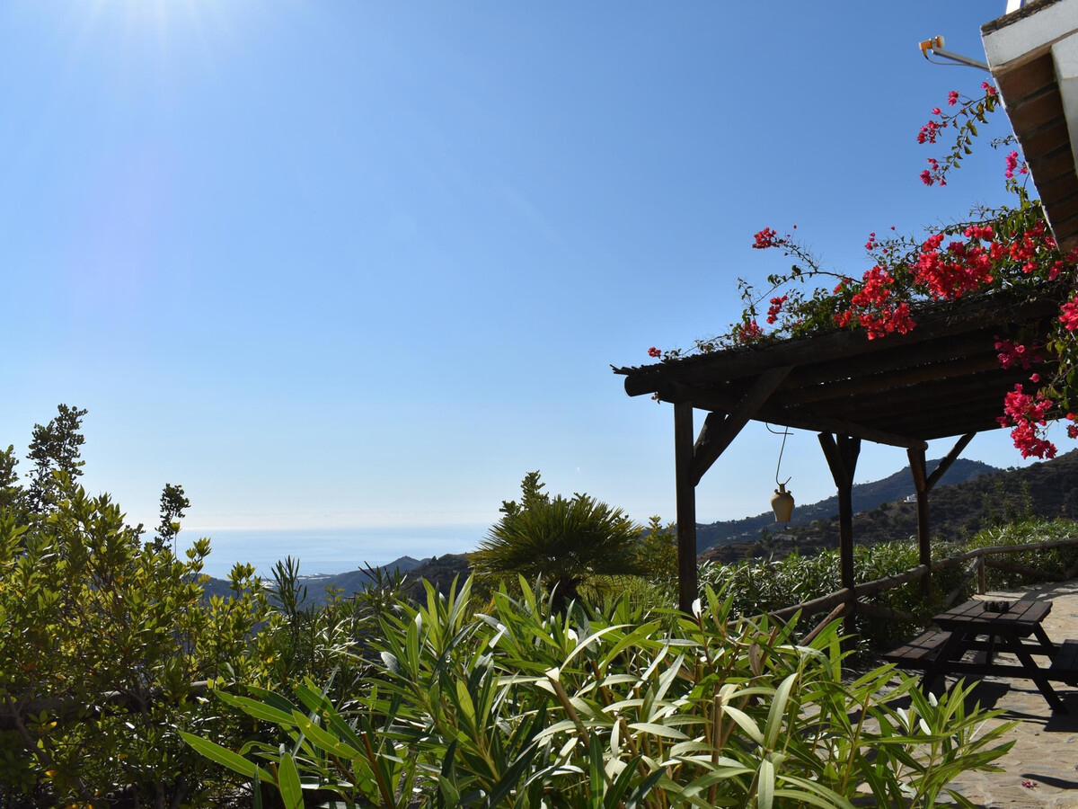Finca Higuerón, gîte rustique piscine à Cómpeta - Photo 3