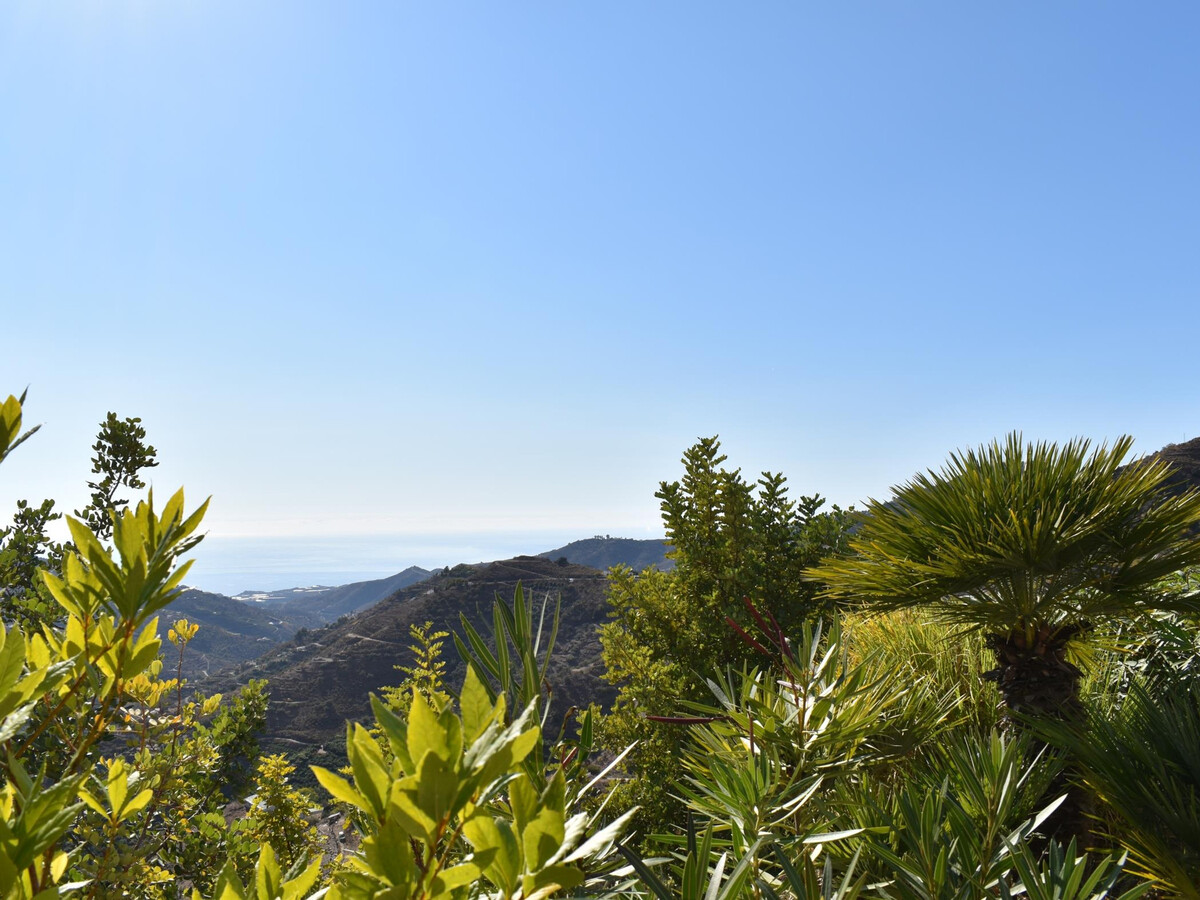 Finca Higuerón, gîte rustique piscine à Cómpeta - Photo 14