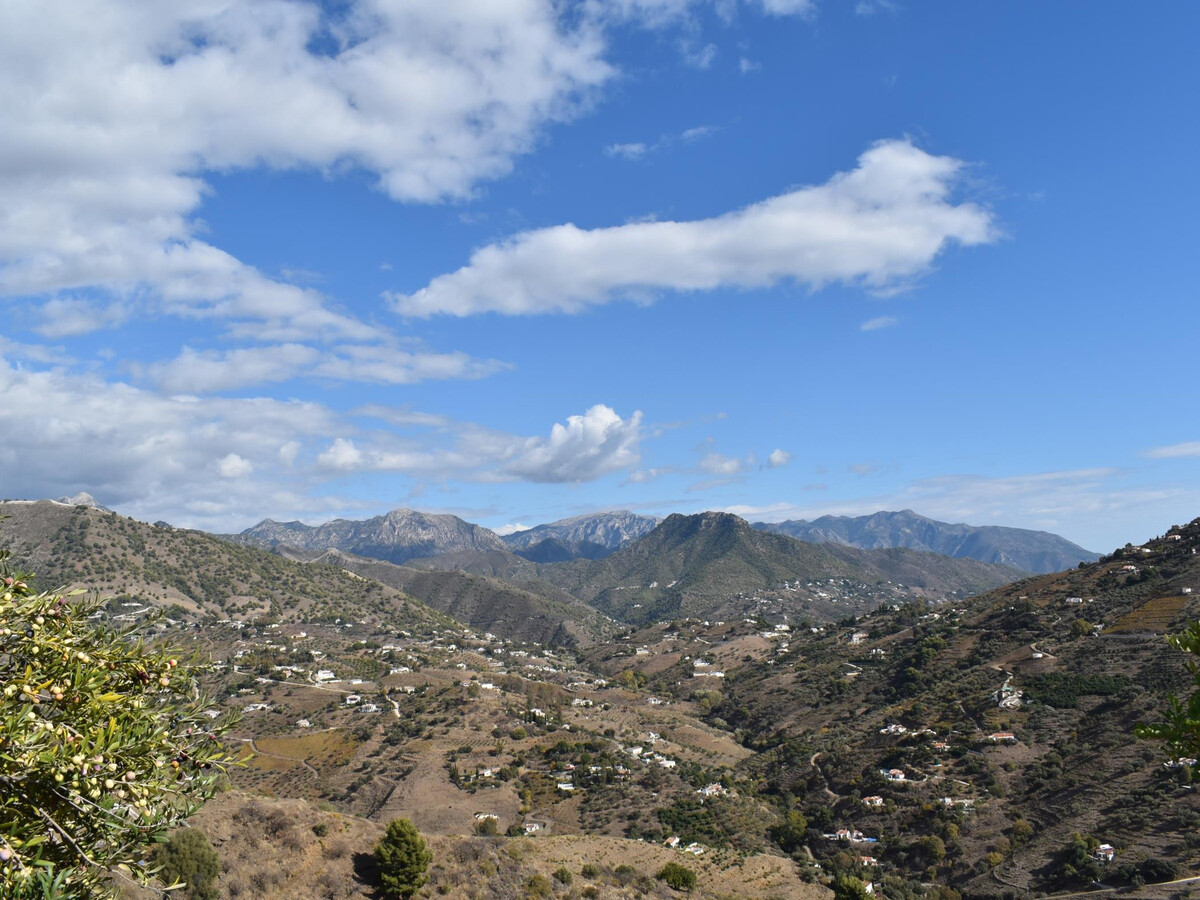 Finca Higuerón, gîte rustique piscine à Cómpeta - Photo 15