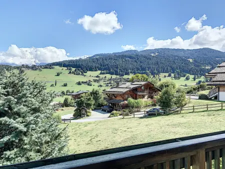 Duplex vue Mont-Blanc à Combloux, 4 pers. : photo 17