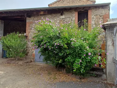 La Maison de René - Gîte 14 pers. à Fontannes : photo 26