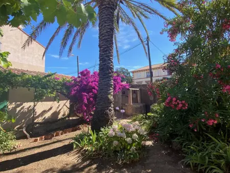 Maison authentique Porquerolaise 8 pers., 4 chambres : photo 2
