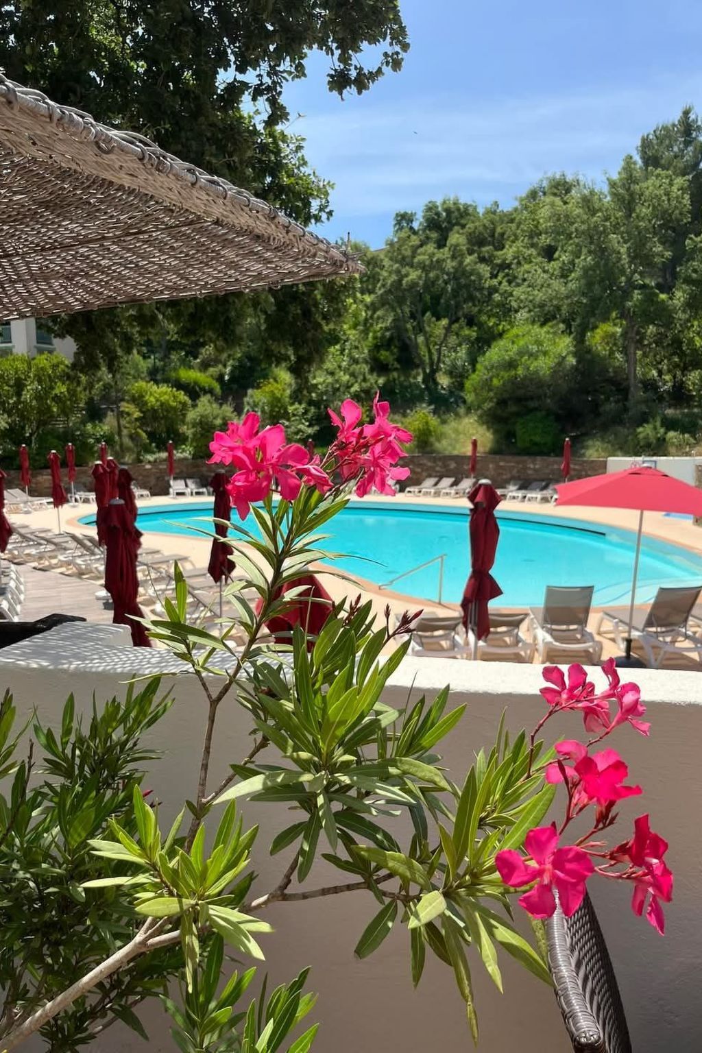 Appartement 6 pers. vue mer à Cogolin, piscine & parc - Photo 11