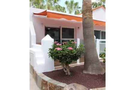 530478, Appartement de vacances avec 1 chambre - Photo 15