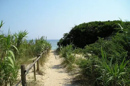 Maison 8 pers. à 1 km de la plage, San Pietro i. Bevagna : photo 15