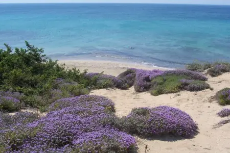 Maison 8 pers. à 1 km de la plage, San Pietro i. Bevagna : photo 16