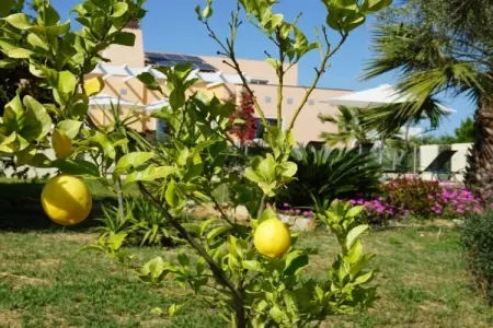 752300, Villa à Moncarapacho avec piscine - Photo 12