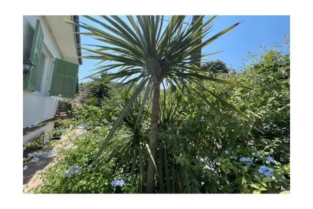 524158, Casa Magnolia-Sopra - Photo 5