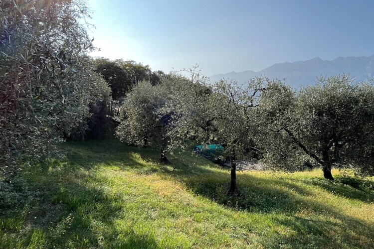 Maison vue lac de Garde, Malcesine – 2 ch, 4 pers. - Photo 14