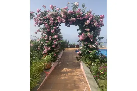Villa Villarosa, vue panoramique sud à Ponta do Sol : photo 10
