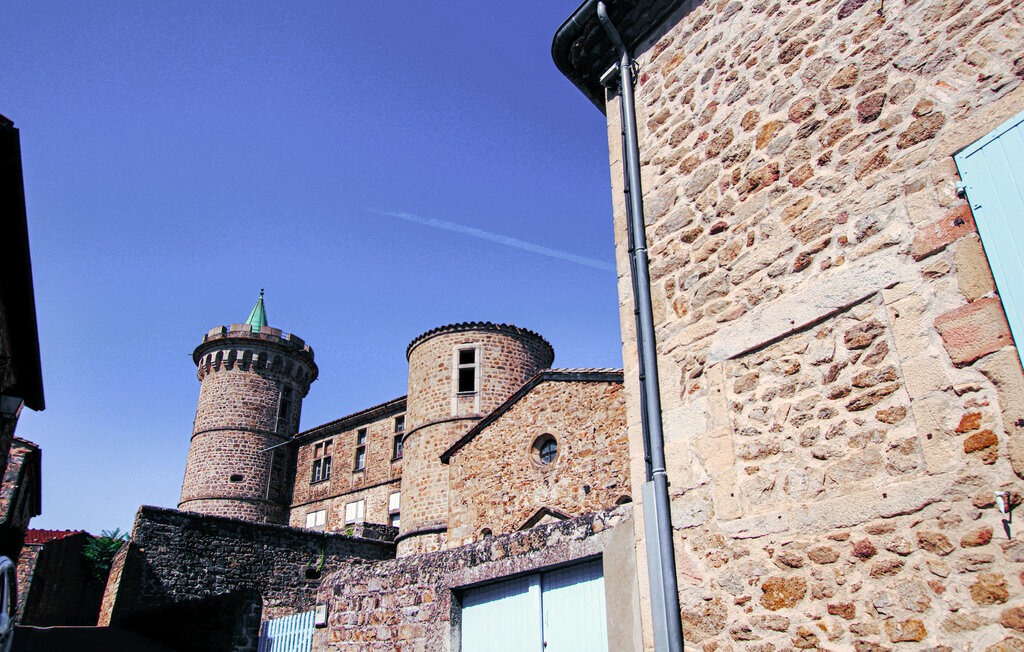 Maison dans la tour historique du château à Pélussin - Photo 10