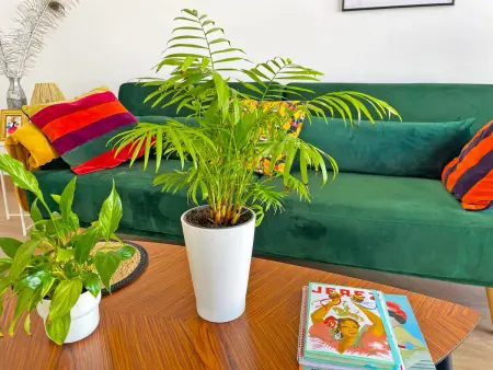 Appartement 105 m² avec piscine au centre de Jerez : photo 35
