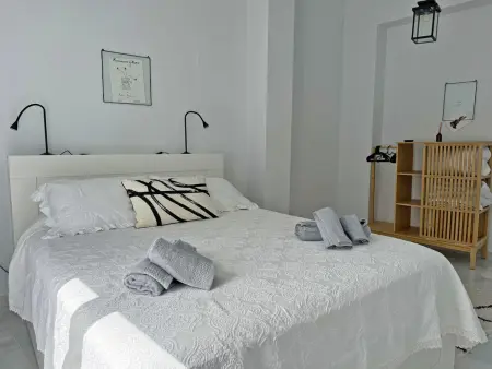 Appartement 75 m² centre Jerez, 2 ch, terrasse & jardin : photo 18