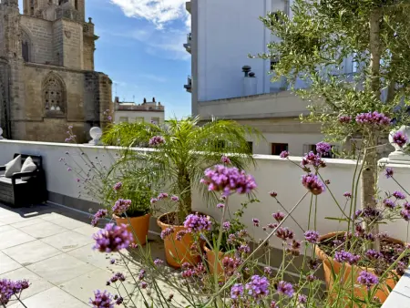 Appartement 75 m² centre Jerez, 2 ch, terrasse & jardin : photo 19