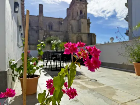 Appartement 75 m² centre Jerez, 2 ch, terrasse & jardin : photo 23