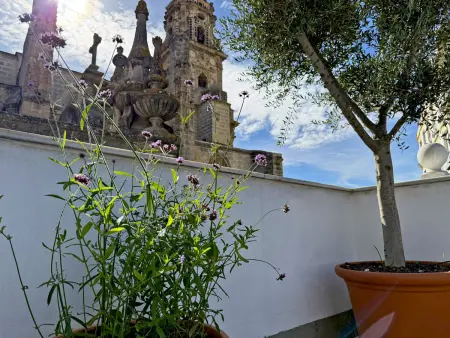 Appartement 75 m² centre Jerez, 2 ch, terrasse & jardin : photo 26