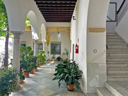 Appartement 105 m² avec jardin - Centre Jerez : photo 9