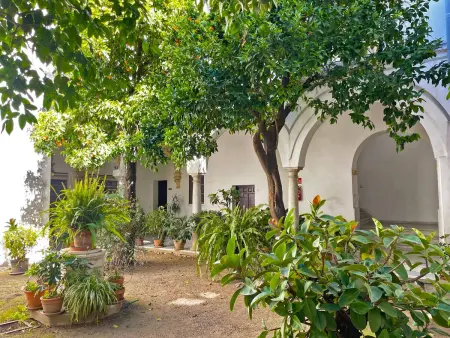 Appartement 105 m² avec jardin - Centre Jerez : photo 23