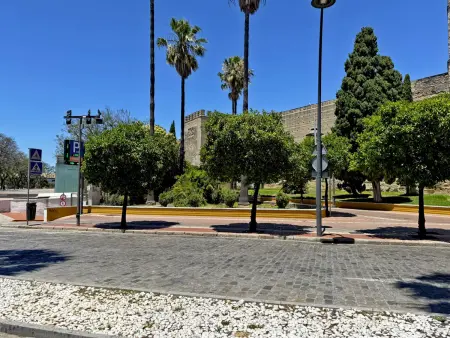 Appartement 50m² centre Jerez - 4 personnes, 1 chambre : photo 5