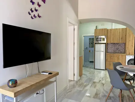 Appartement 50m² centre Jerez - 4 personnes, 1 chambre : photo 13