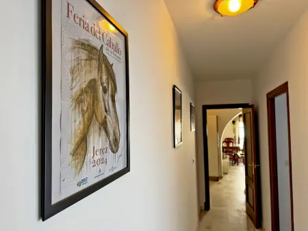 Appartement 70 m² centre-ville Jerez, 5 pers. : photo 7