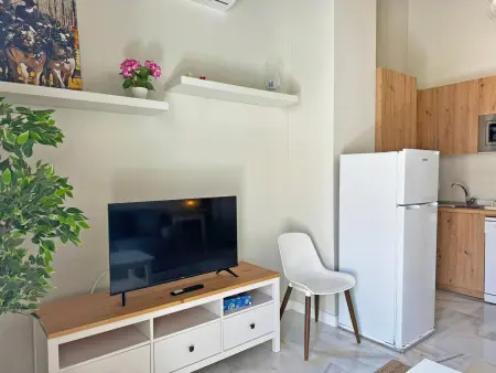 Appartement 45m² centre-ville avec balcon à Jerez : photo 12