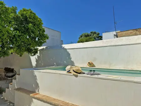 Maison 200 m² piscine privée à Bornos : photo 8