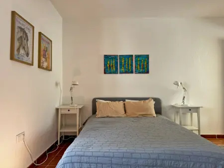 Maison 280 m² centre-ville, 4 chambres, 8 personnes : photo 12