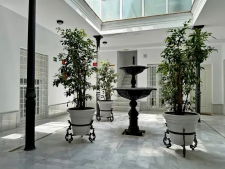 Appartement 95 m² avec terrasse à Jerez de la Frontera : photo 4