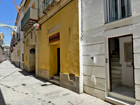 Appartement climatisé 1 chambre à Jerez de la Frontera : photo 17