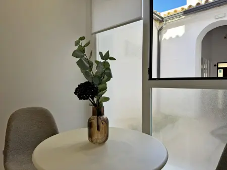 Appartement 40 m² climatisé, terrasse - Jerez : photo 15