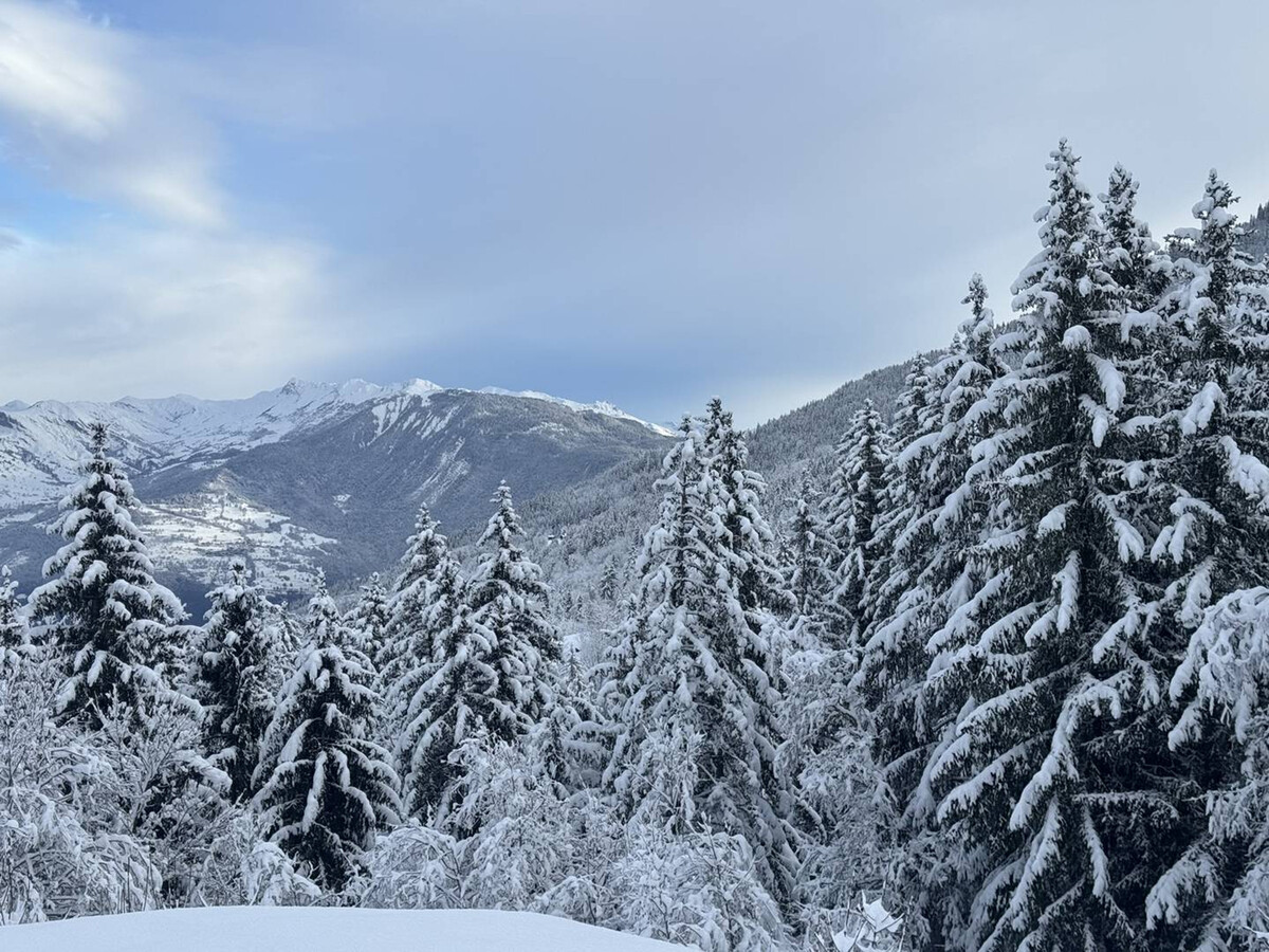 Appartement 12 pers., ski aux pieds - Les Avanchers - Photo 23
