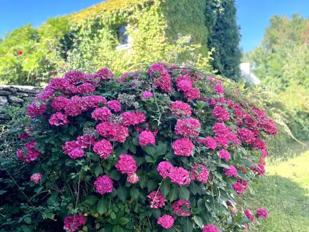 Maison 6 pers. à Lomener avec jardin arboré : photo 25