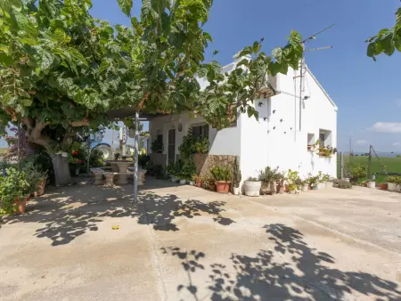 Pepeta, gîte rustique 4 pers. à Deltebre : photo 1