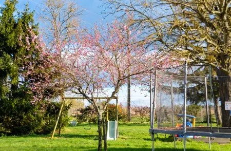 Maison 14 personnes avec piscine partagée à Périssac : photo 8