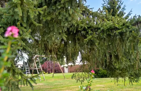 Maison 14 personnes avec piscine partagée à Périssac : photo 16