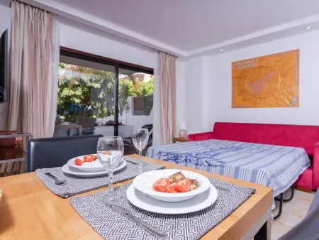 Appartement 1 chambre avec terrasse à Golf del Sur : photo 18