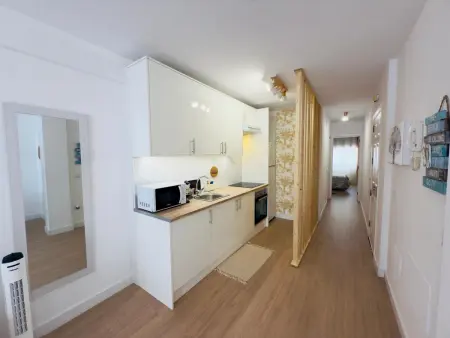 Appartement 1 chambre avec terrasse sur toit à Playa San Juan : photo 6