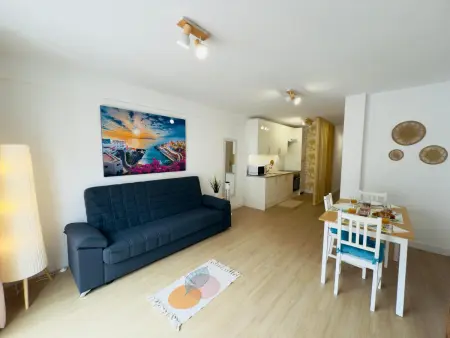 Appartement 1 chambre avec terrasse sur toit à Playa San Juan : photo 15