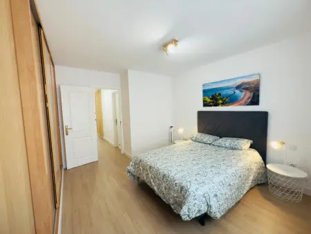 Appartement 1 chambre avec terrasse sur toit à Playa San Juan : photo 20
