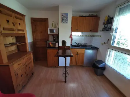 Studio cabine 4 pers. aux Adrets - 20m des pistes : photo 5