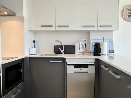 Appartement 54m² face plage, piscine et animaux : photo 8