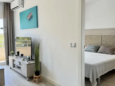 Appartement 54m² face plage, piscine et animaux : photo 19