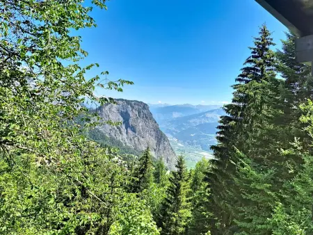 Le Mayen d'Ovronnaz, Location Maison 5 personnes à Ovronnaz - Photo 9