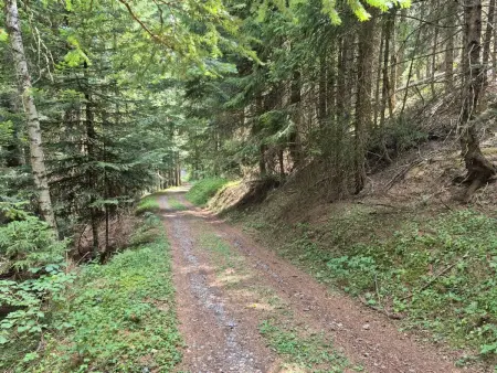 Le Mayen d'Ovronnaz, Location Maison 5 personnes à Ovronnaz - Photo 40