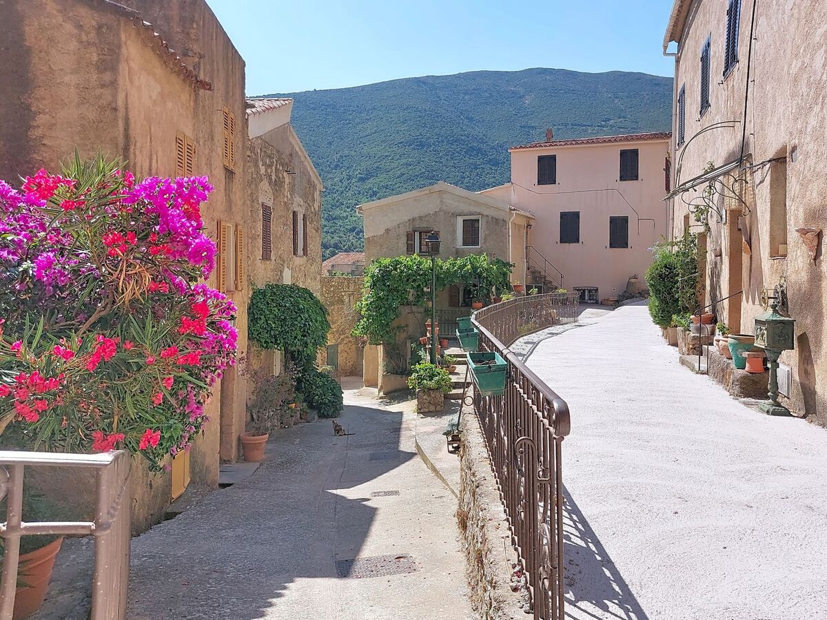 Casa Memmi Mouriès – Maison 2 ch. à Palasca - Photo 5