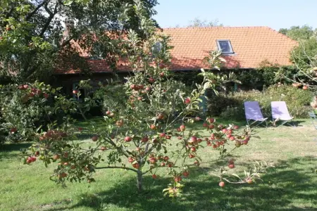 La Petite Maison, gîte indépendant à 15 min de plage : photo 4