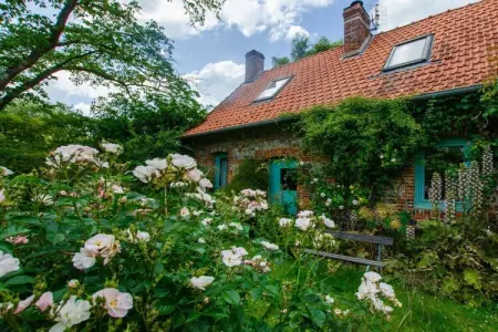 La Petite Maison, gîte indépendant à 15 min de plage : photo 10