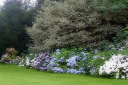Le Clos Normand – Gîte familial 6 pers. à Varengeville : photo 5