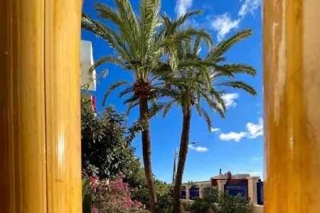 Maison 1 chambre à 600m de la plage à Cala Millor : photo 20